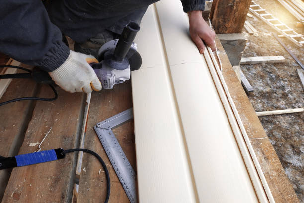 Best Vinyl Siding Installation  in Lone Jack, MO