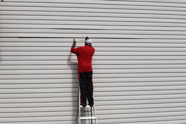 Best Steel Siding Installation  in Lone Jack, MO